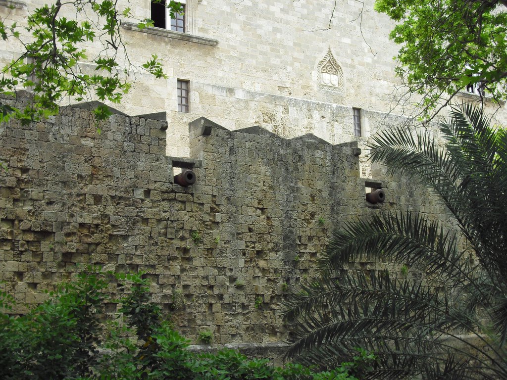 Image CIMG4783.JPG