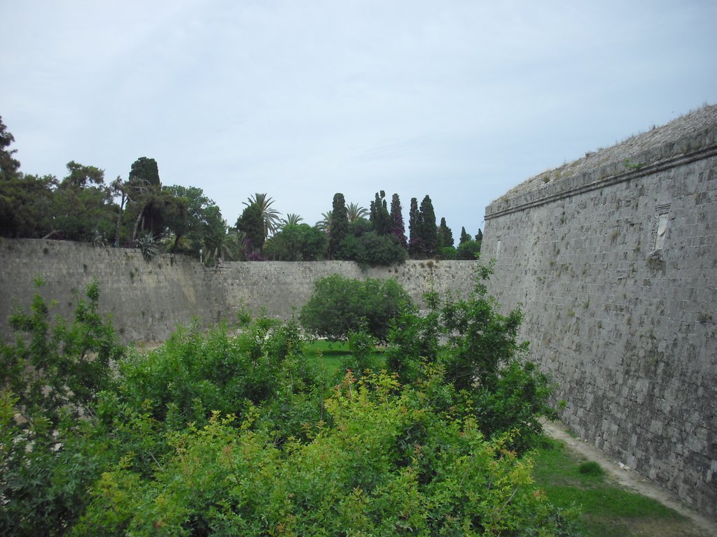 Image CIMG4785.JPG