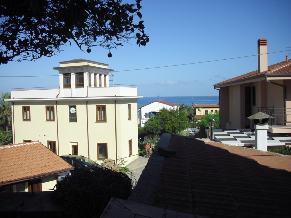 Image cimg0346.jpg
