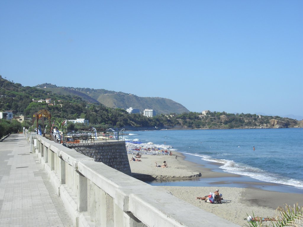 Image cimg0349.jpg