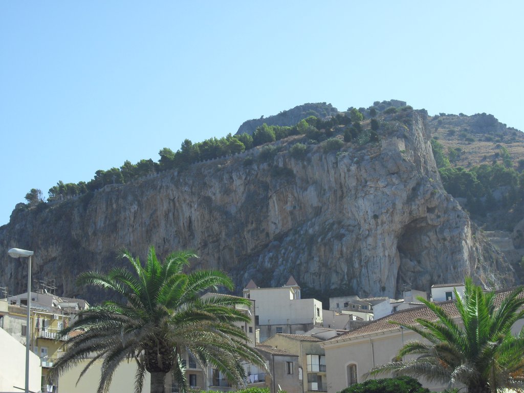 Image cimg0353.jpg