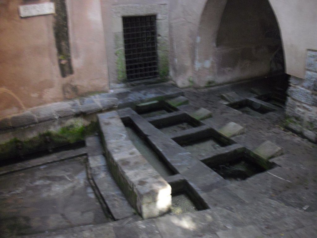 Image cimg0355.jpg