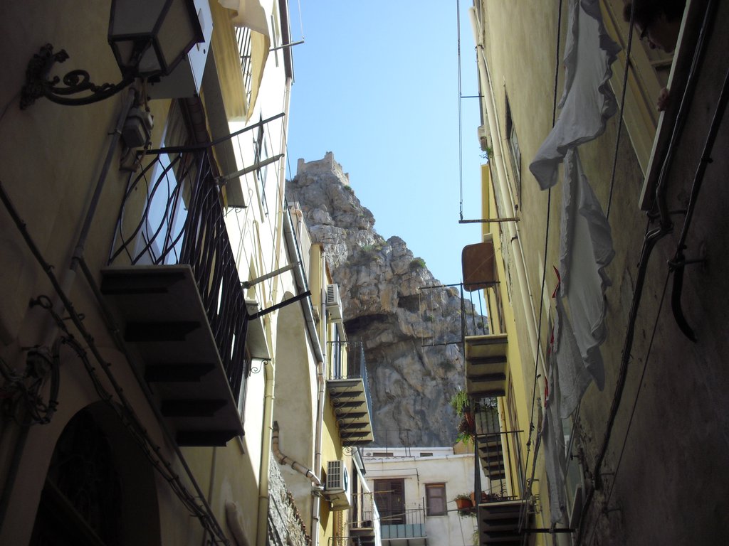 Image cimg0375.jpg