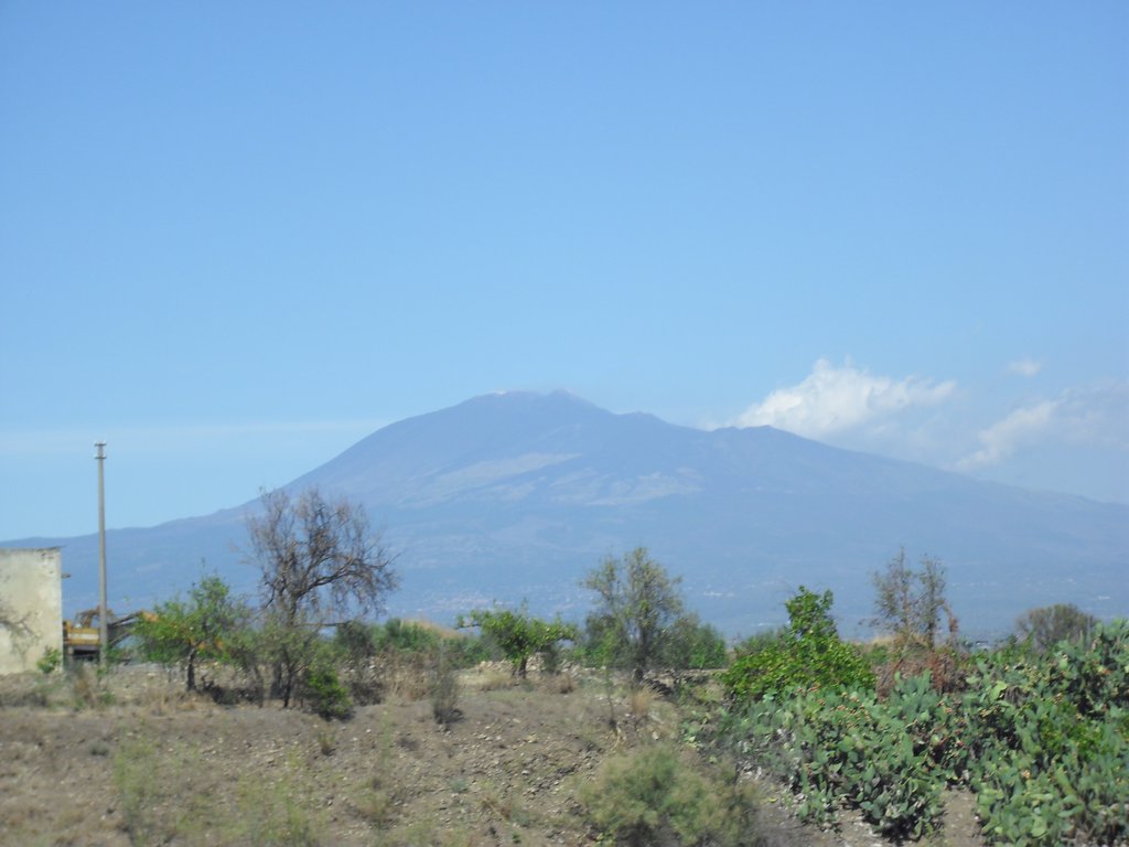 Image cimg0380.jpg