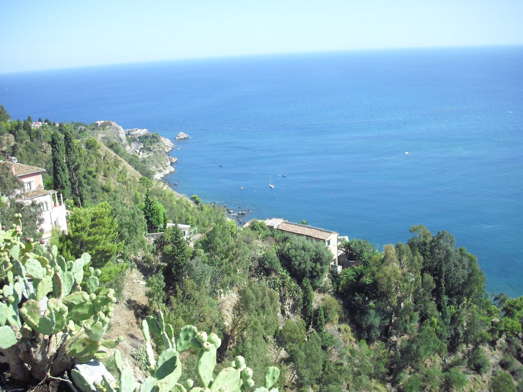 Image cimg0388.jpg