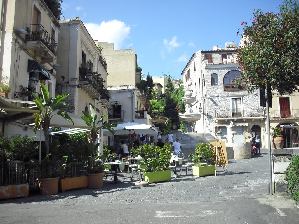 Image cimg0393.jpg