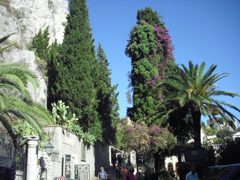 Image cimg0404.jpg