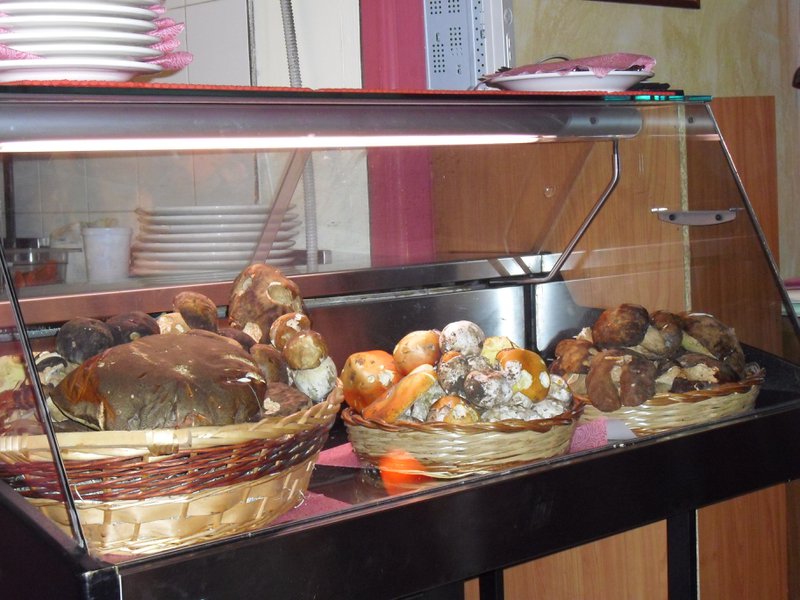 Image cimg0426.jpg