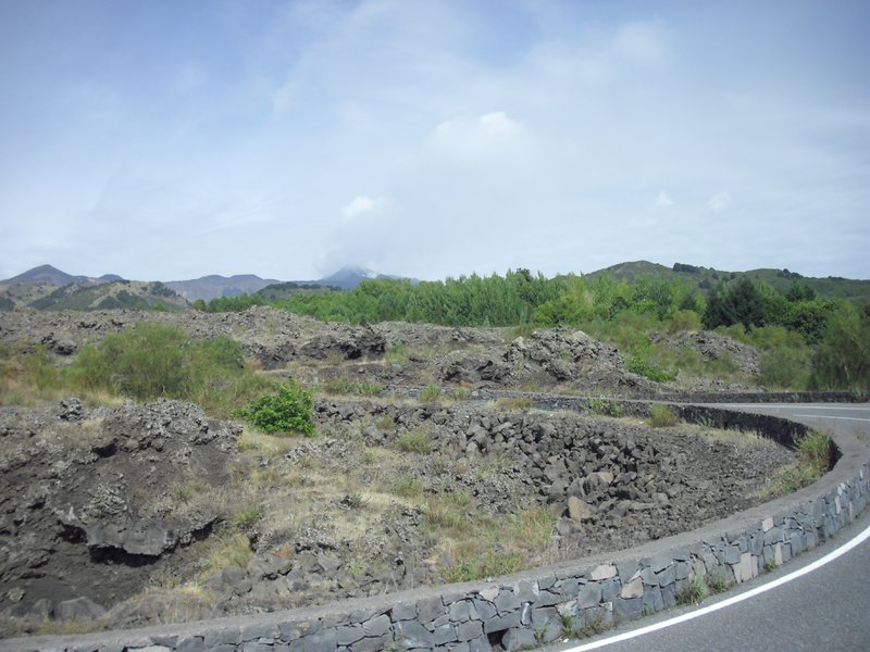 Image cimg0431.jpg
