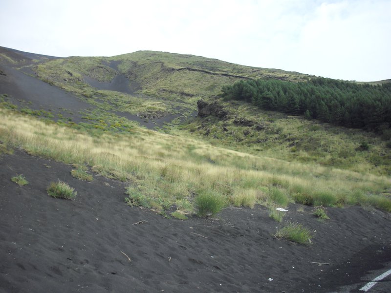 Image cimg0435.jpg