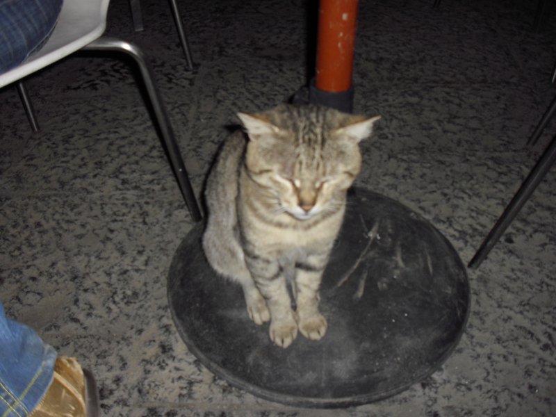 Image cimg0541.jpg