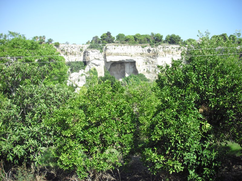Image cimg0549.jpg