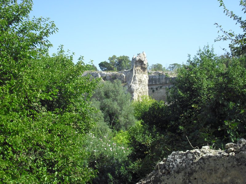 Image cimg0552.jpg