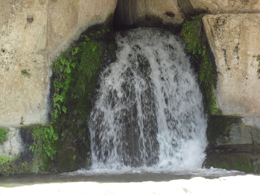 Image cimg0568.jpg