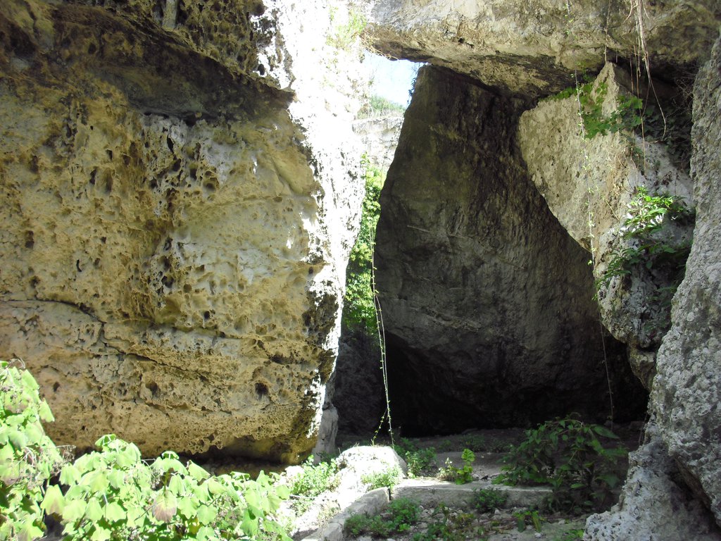 Image cimg0585.jpg
