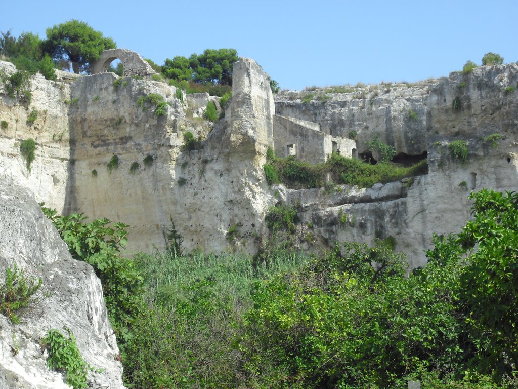 Image cimg0594.jpg