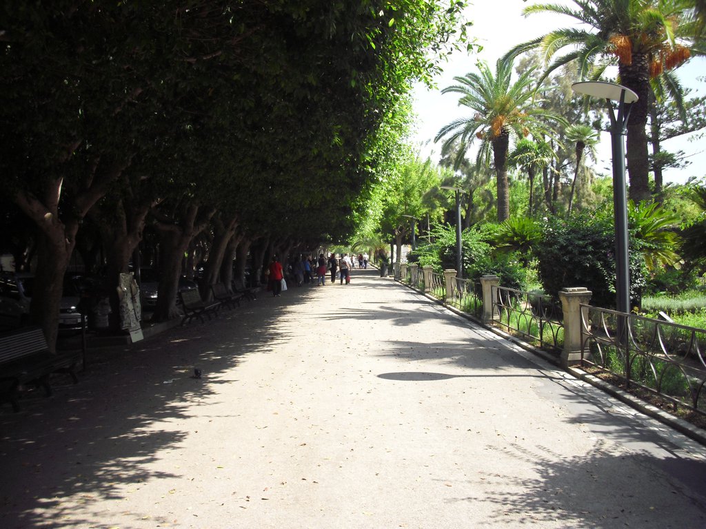 Image cimg0607.jpg
