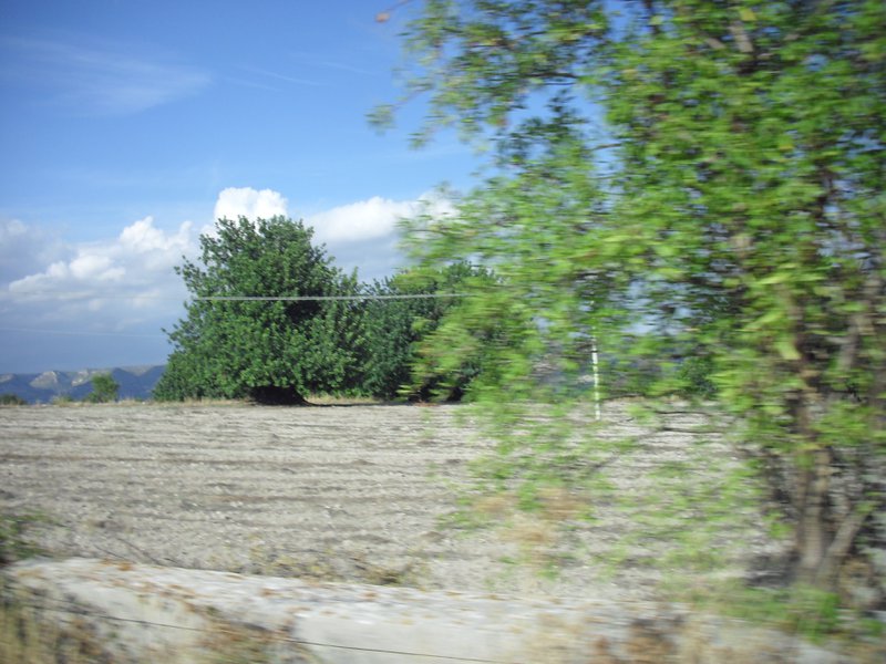 Image cimg0656.jpg