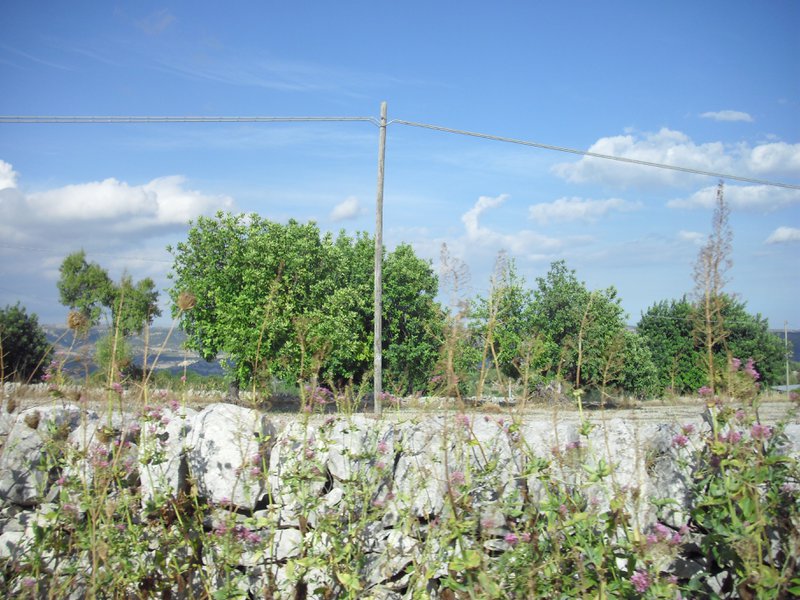 Image cimg0657.jpg