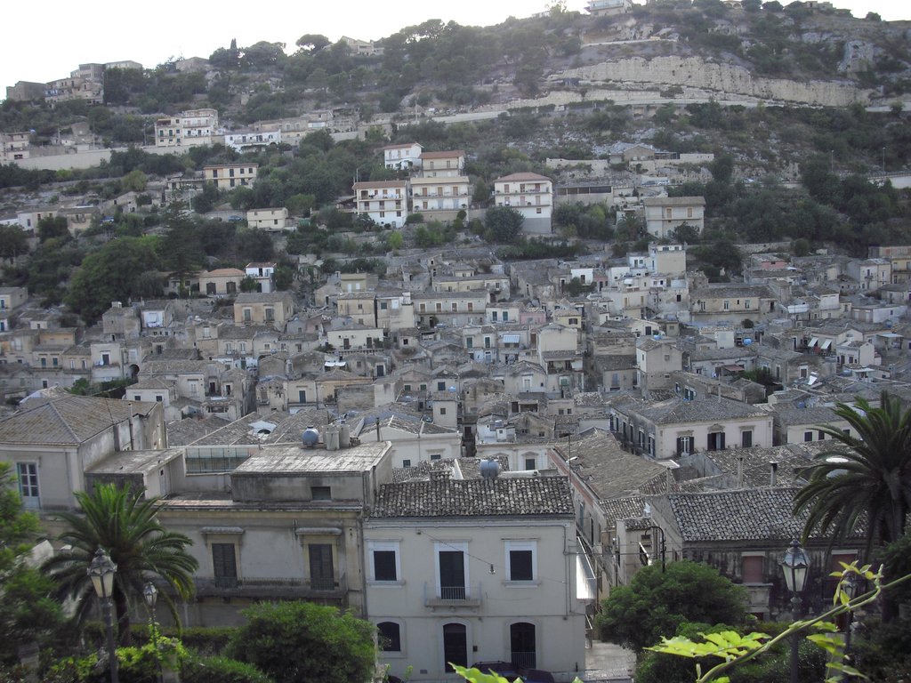 Image cimg0673.jpg