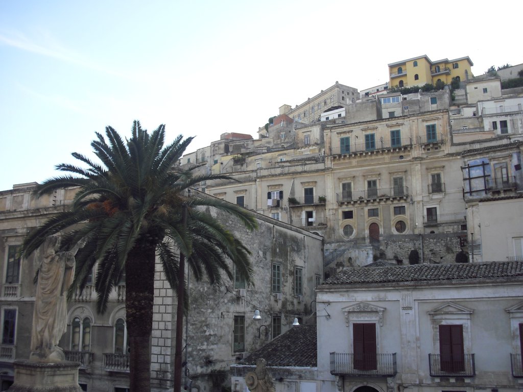 Image cimg0686.jpg