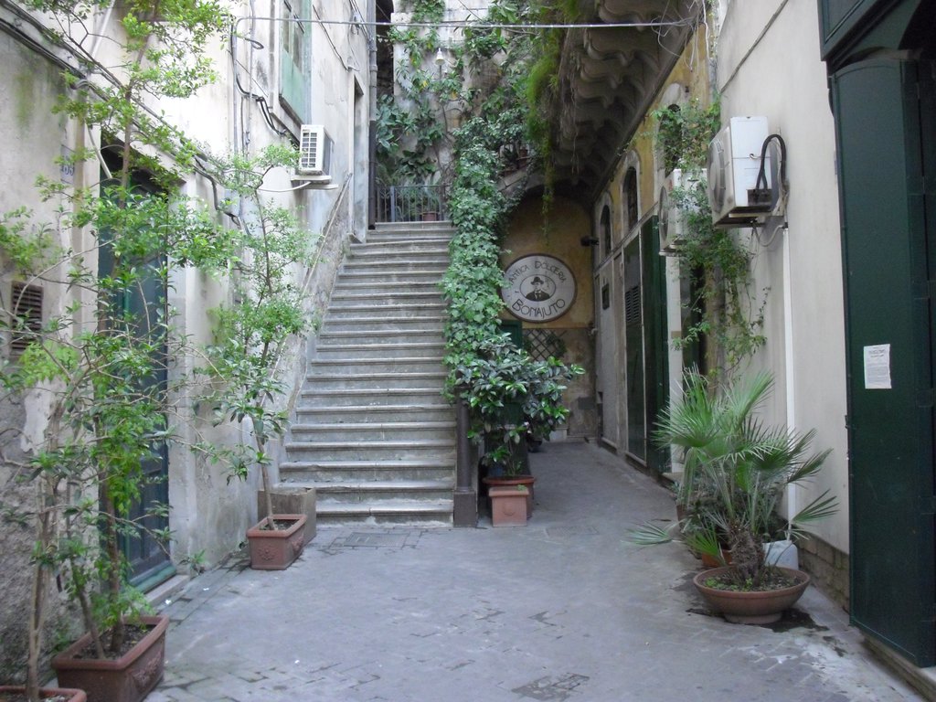 Image cimg0693.jpg