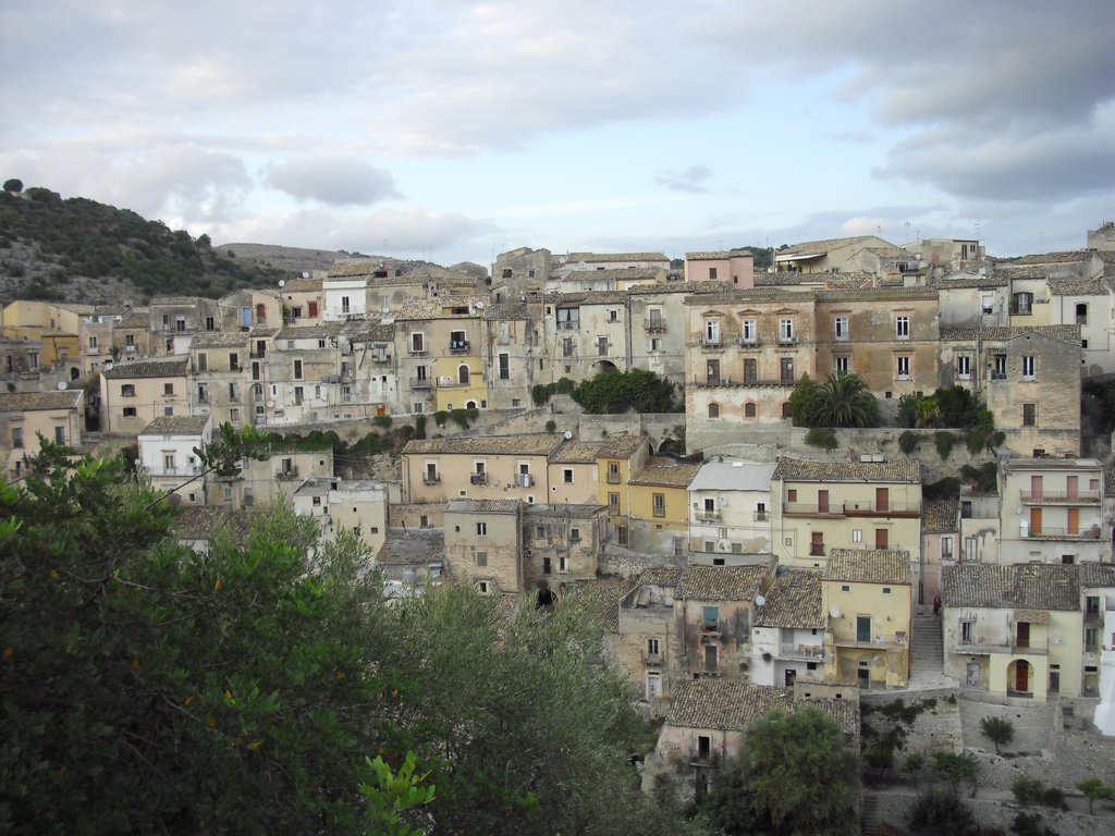 Image cimg0697.jpg