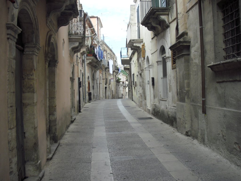 Image cimg0729.jpg