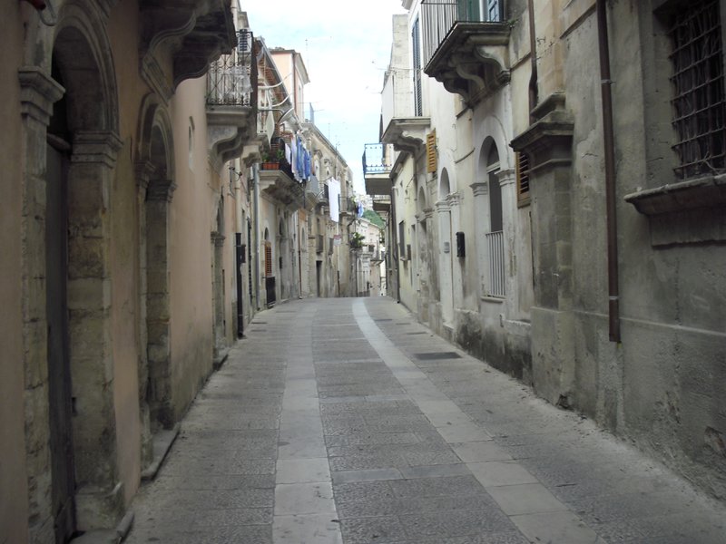 Image cimg0729.jpg