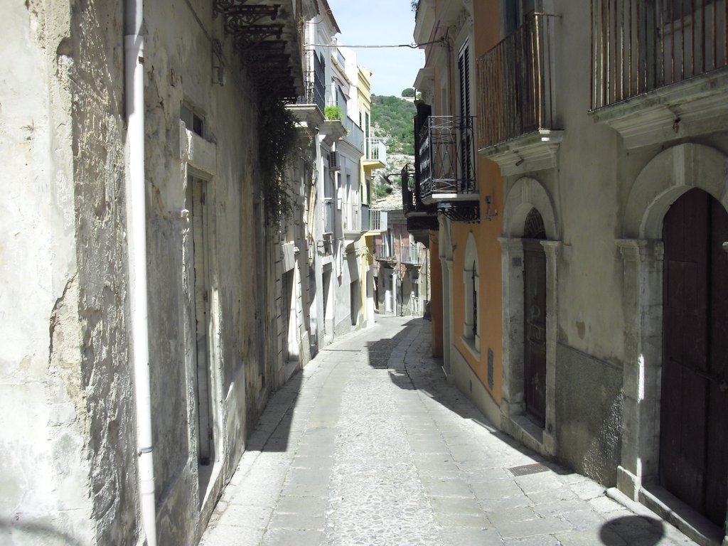 Image cimg0747.jpg