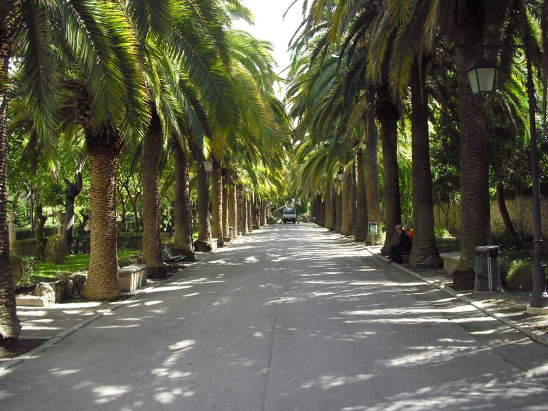 Image cimg0758.jpg