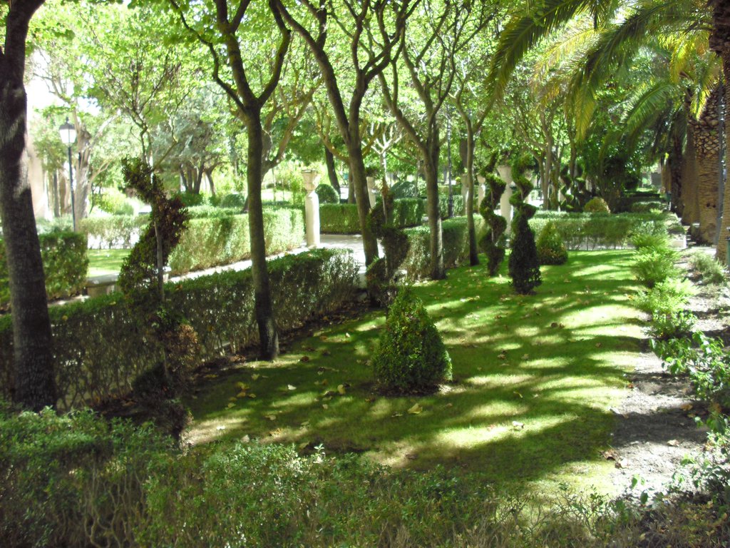 Image cimg0759.jpg