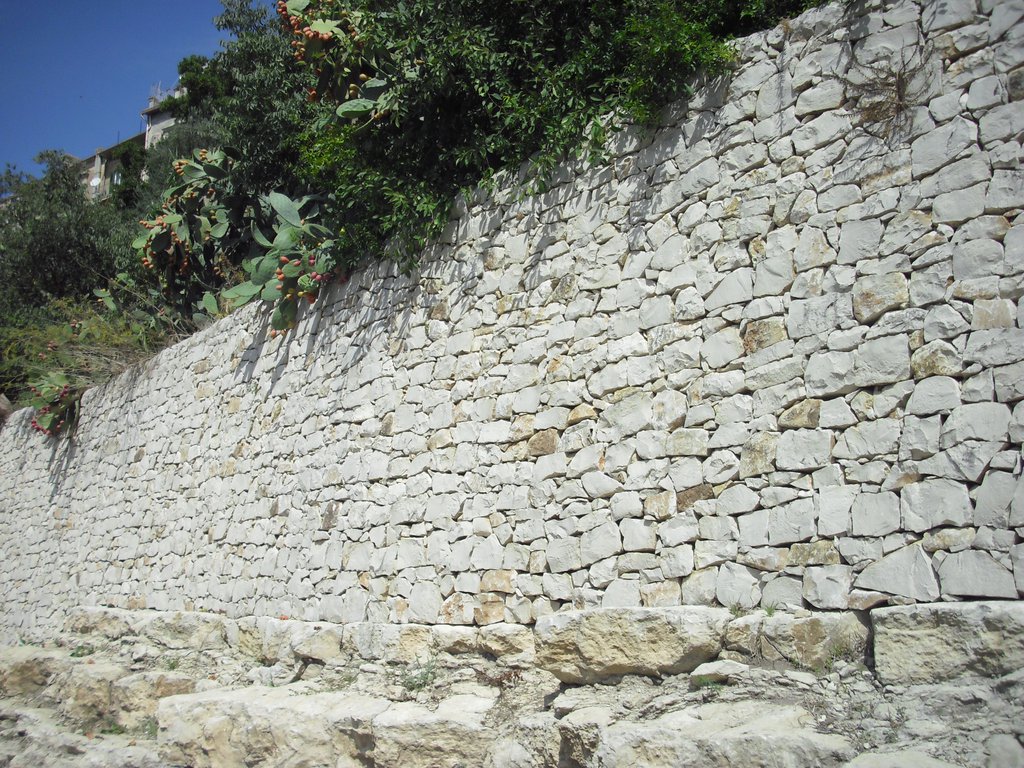 Image cimg0775.jpg