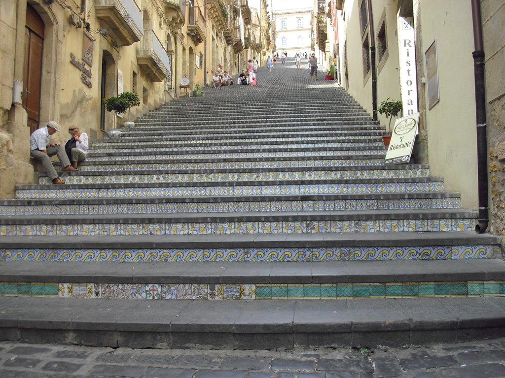 Image cimg0783.jpg