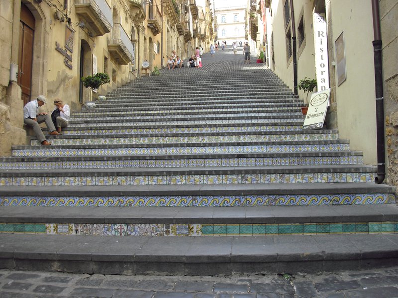Image cimg0783.jpg