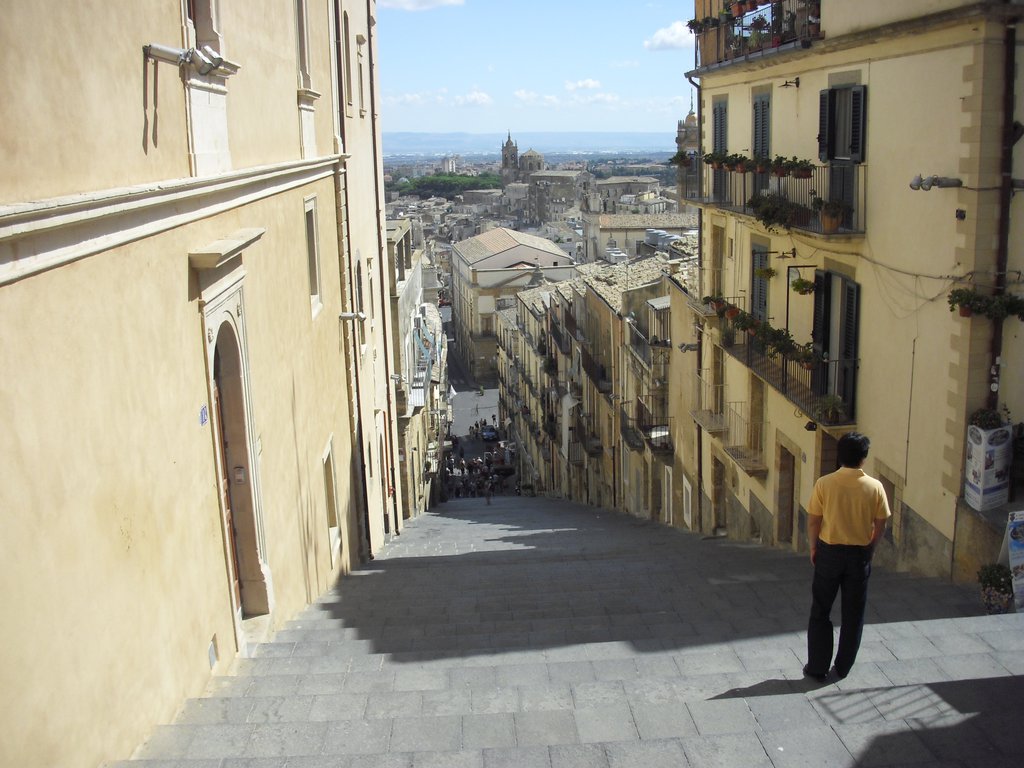 Image cimg0785.jpg
