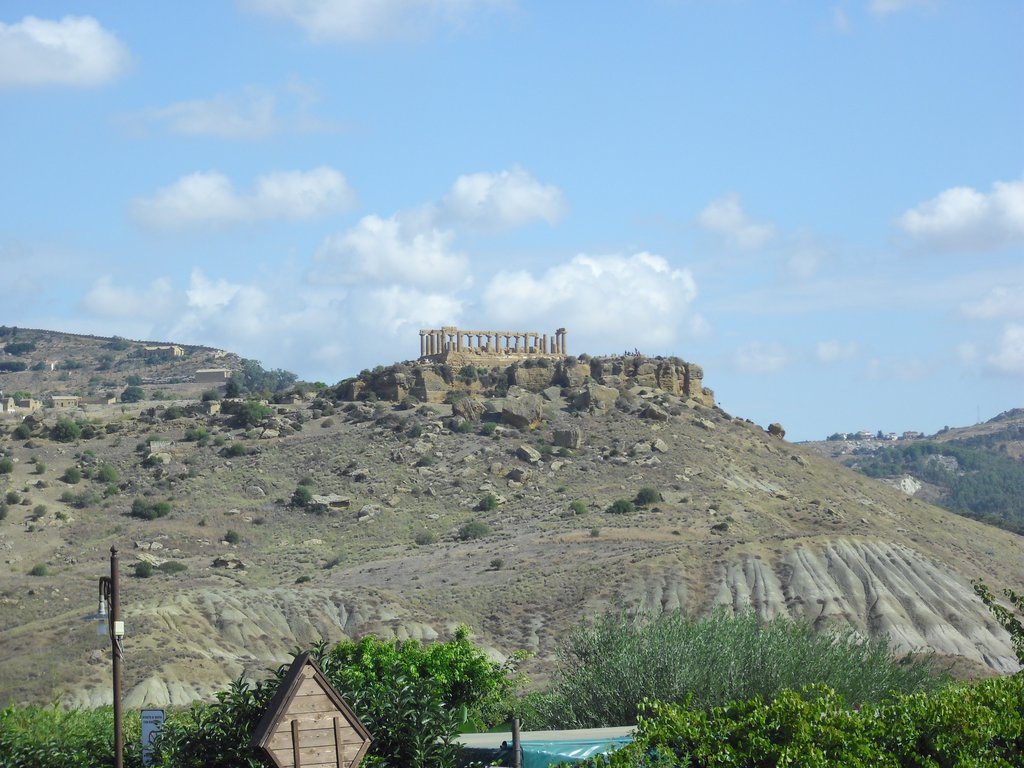 Image cimg0793.jpg