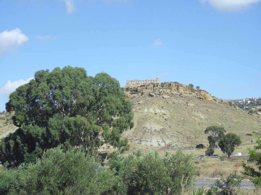 Image cimg0799.jpg