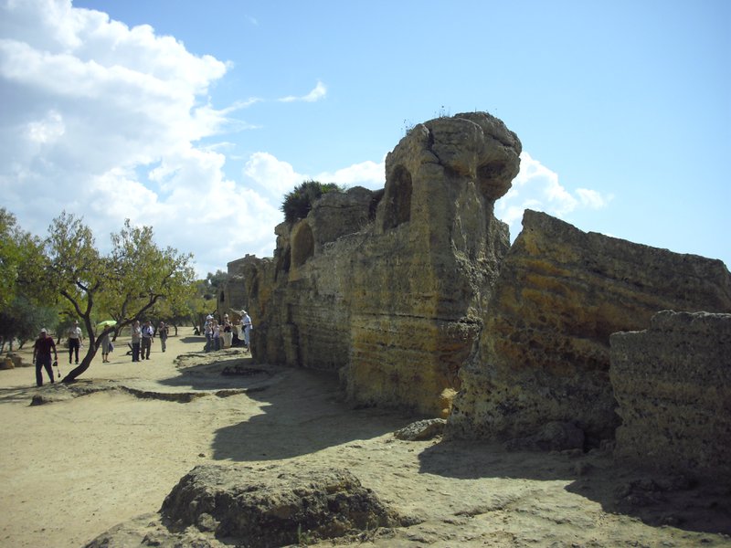 Image cimg0824.jpg
