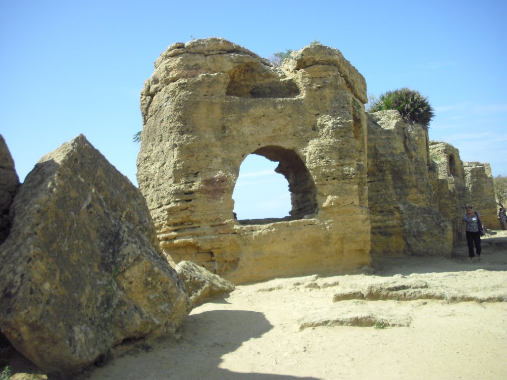 Image cimg0827.jpg
