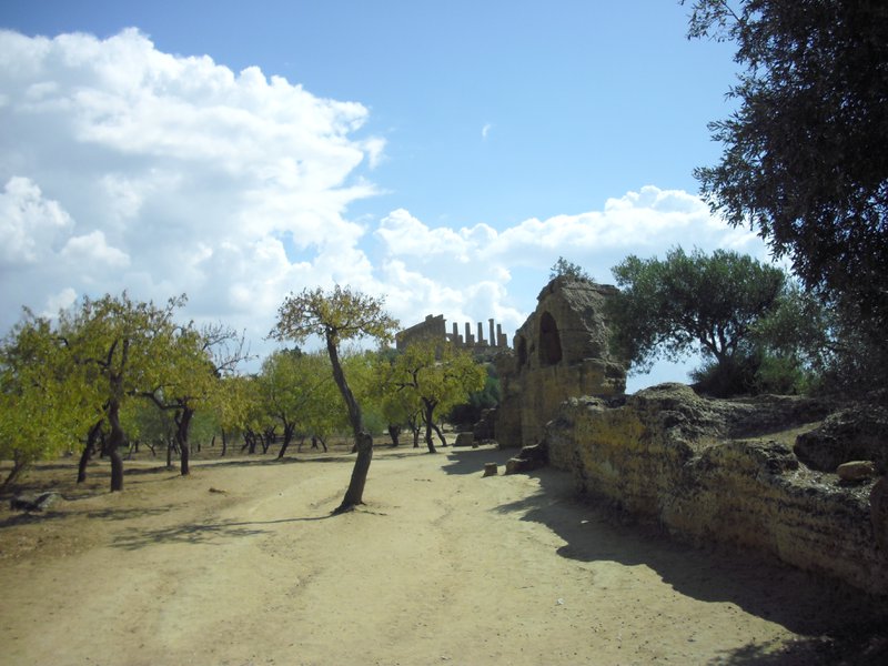 Image cimg0828.jpg