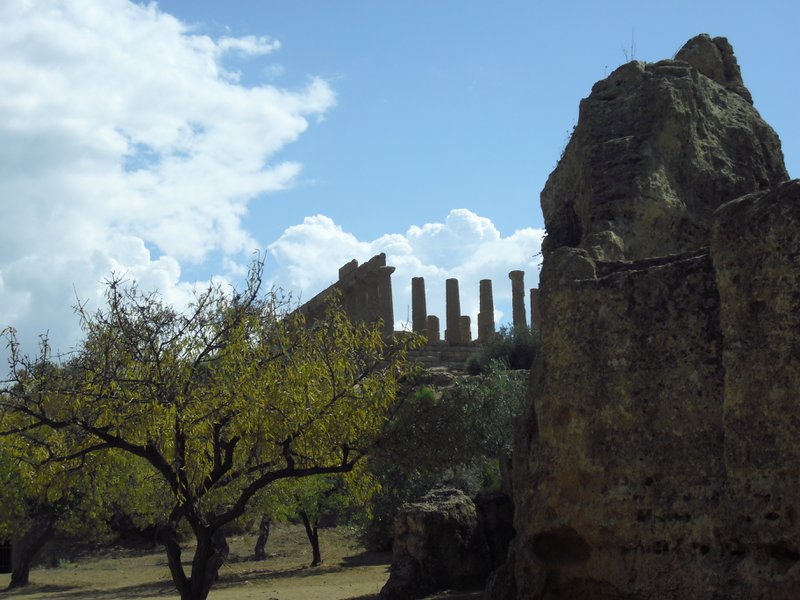 Image cimg0829.jpg
