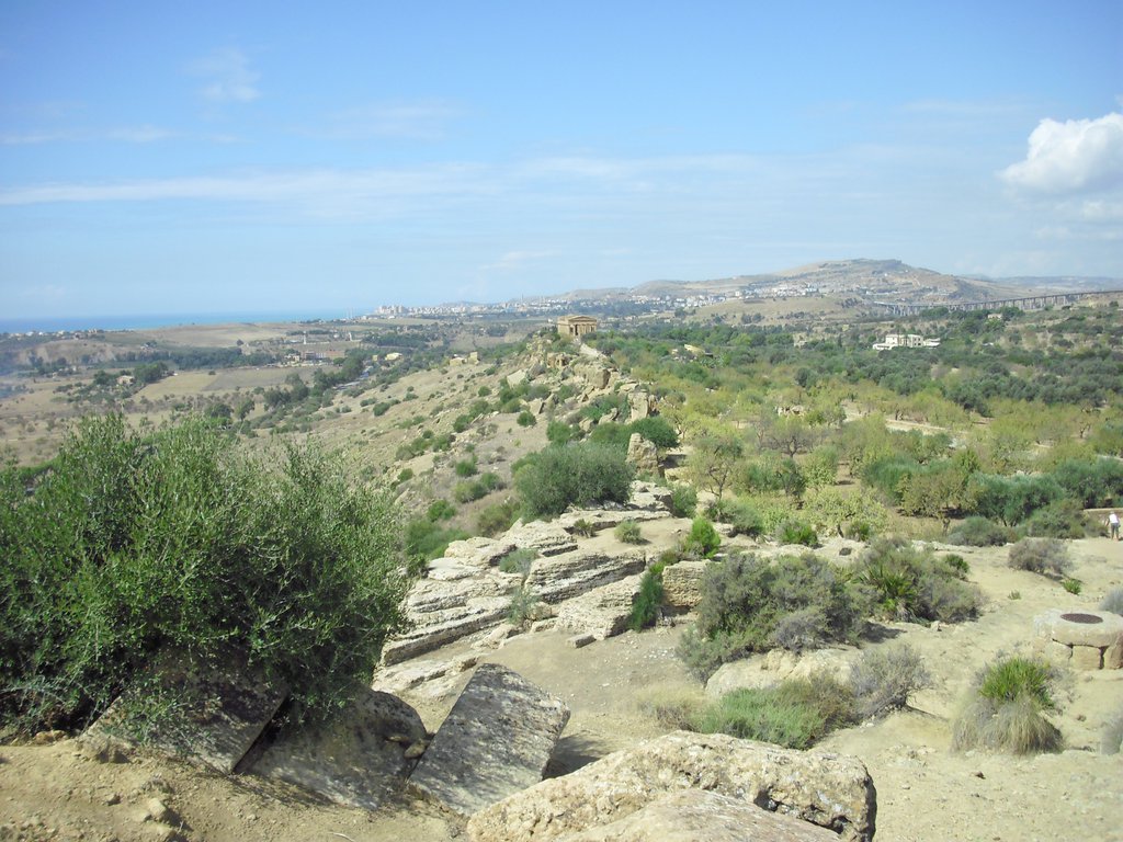 Image cimg0834.jpg