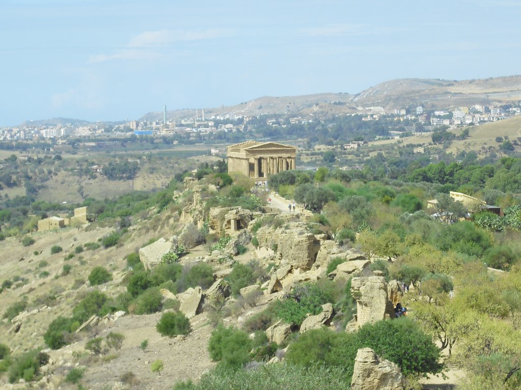 Image cimg0835.jpg