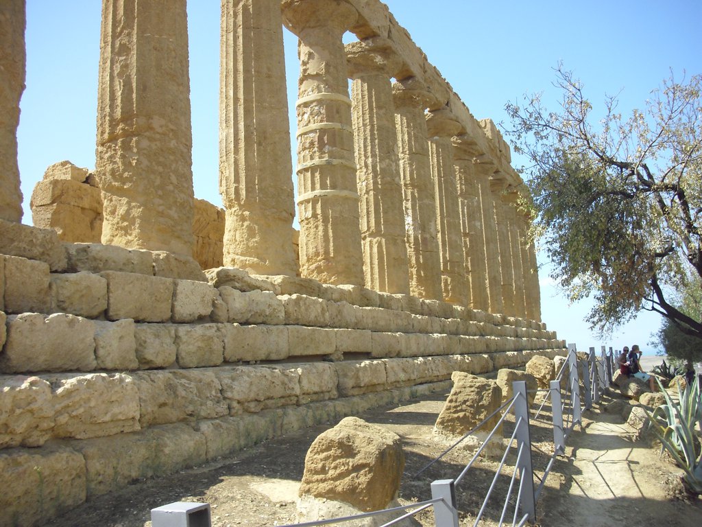 Image cimg0837.jpg