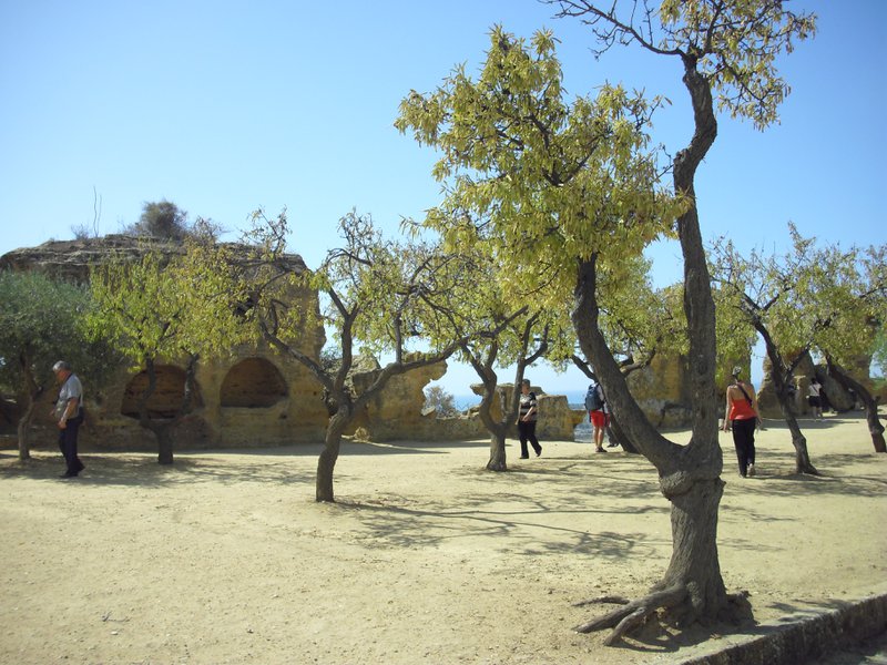 Image cimg0851.jpg