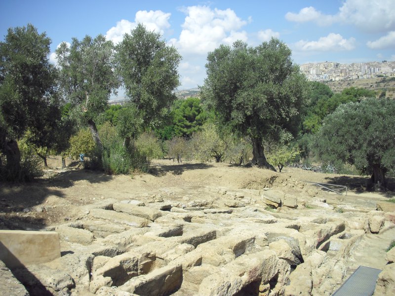 Image cimg0856.jpg