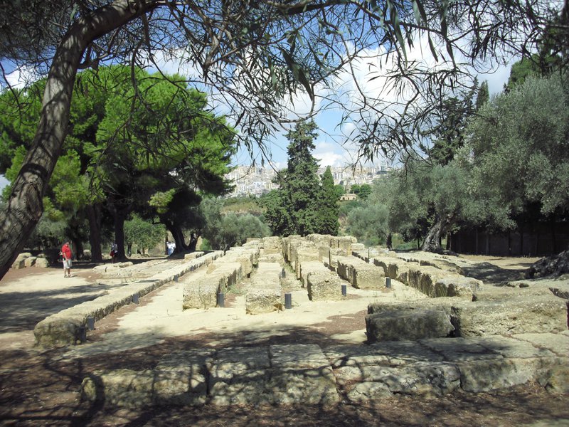 Image cimg0857.jpg