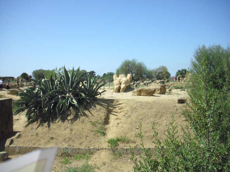Image cimg0861.jpg