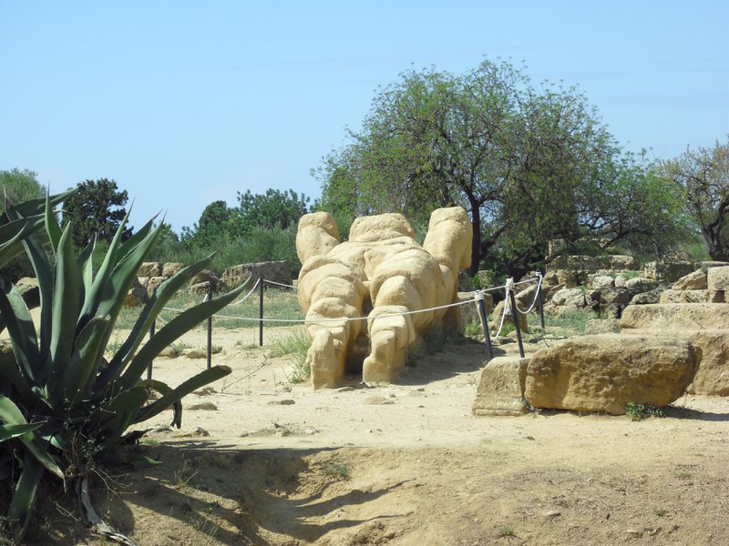 Image cimg0862.jpg